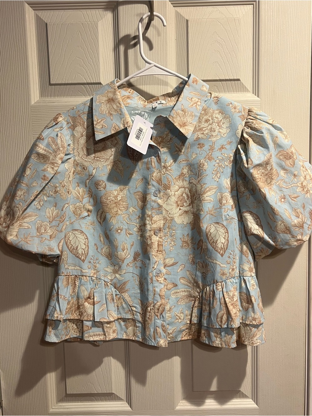 TCEC Light Blue and Cream Floral Puff-Sleeve Button Down Top